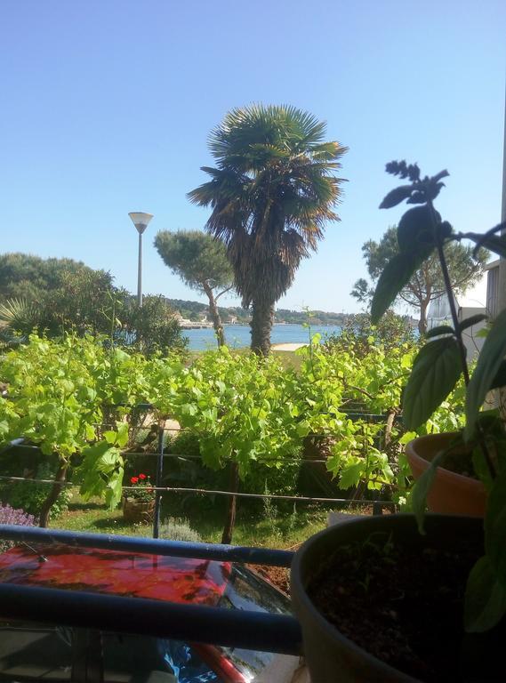 Linea Mare Apartment Rovinj Eksteriør billede