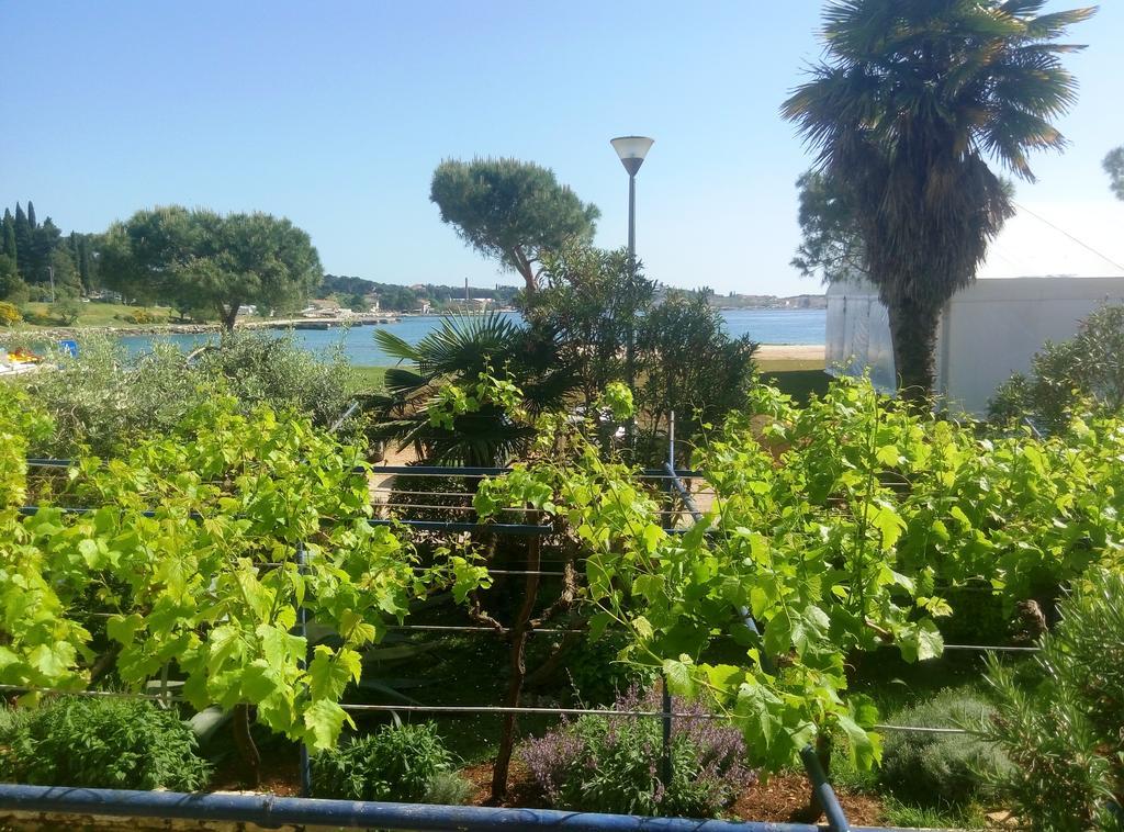 Linea Mare Apartment Rovinj Eksteriør billede